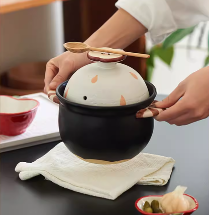 Cute and Mini Clay Pot Specially for Gas Stoves